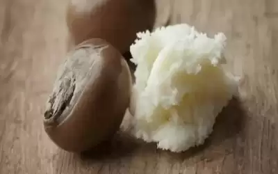 فوائد زبدة الشيا الخام للركب