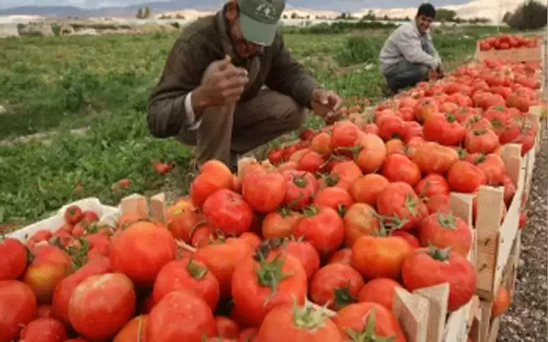 الأردن يستورد غذاء بـ 4 مليارات