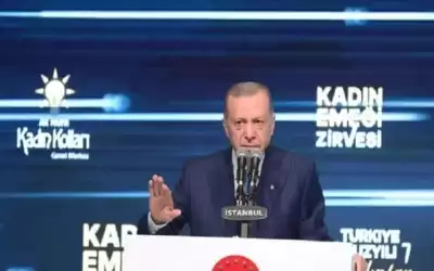 محكمة تركية تلغي صلاحية ممنوحة لأردوغان