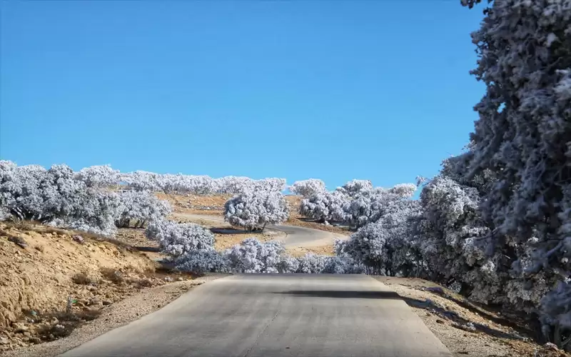 انجماد في الشوبك.. فيديو