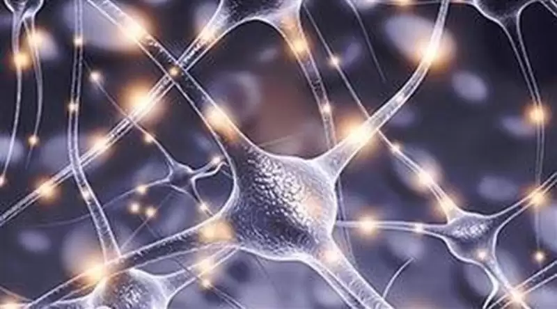 تحديد الخلايا العصبية المسؤولة عن ضبط