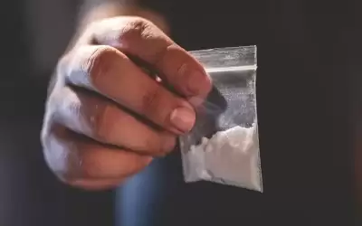 في هولندا فقط .. خدمة توصيل