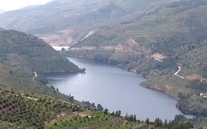 وزير الزراعة: 70% نسبة تجميع السدود