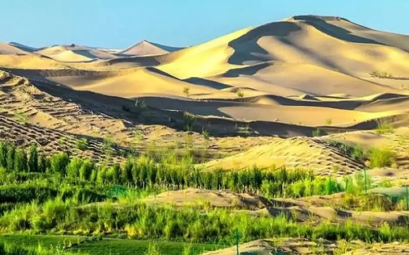 أكبر مشروع طاقة متجددة بالصحراء.. ثورة