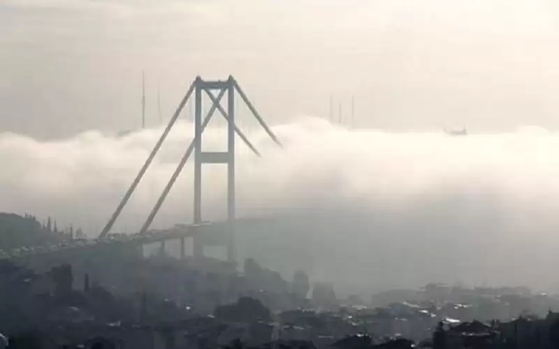 ضباب كثيف يوقف حركة الملاحة في