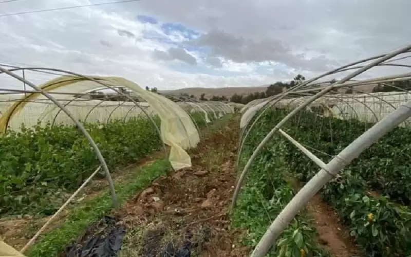 دعوة المزارعين لحماية البيوت البلاستيكية في