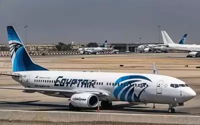 مصر.. إحباط تهريب كمية من ثعابين