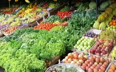 وزارة الزراعة: صادرات الخضار والفواكه لم