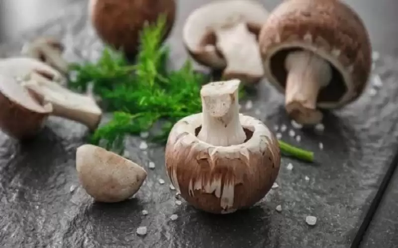 فوائد الفطر للجسم.. يعزز المناعة ويقاوم
