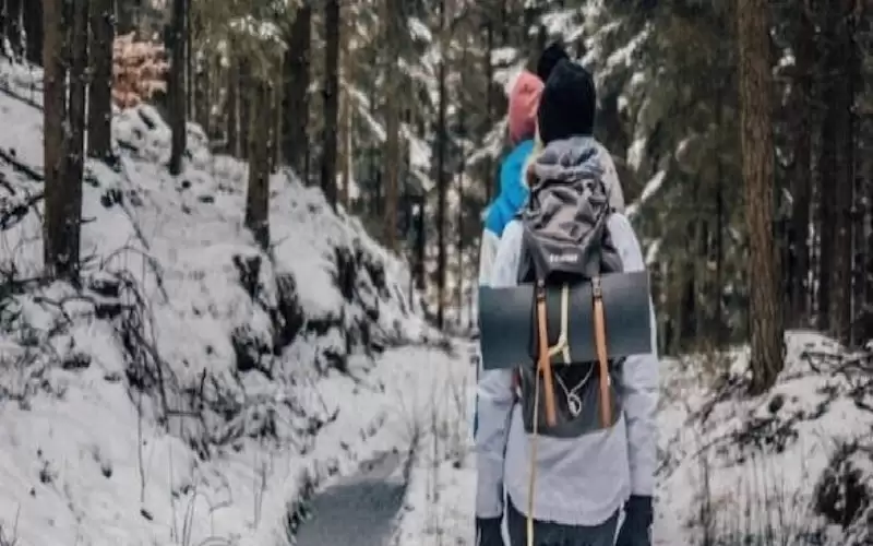 أشياء عليك القيام بها على الهاتف