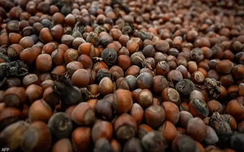 تركيا .. 1.7 مليار دولار صادرات