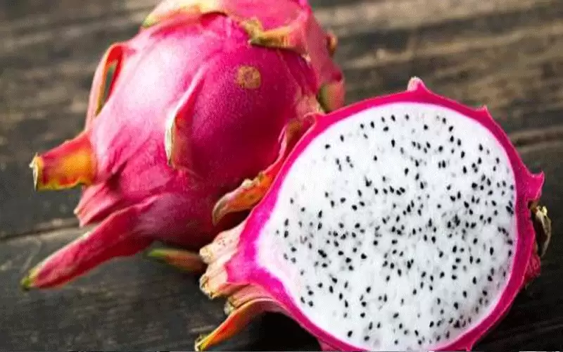 الموطن الأصلي لفاكهة التنين