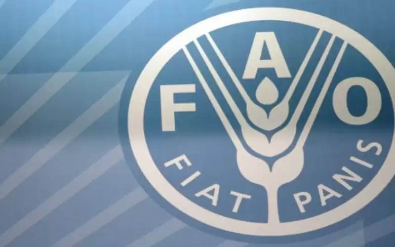 الفاو: أسعار الغذاء عالميا ارتفعت 14.3%