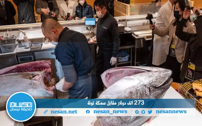 273 ألف دولار مقابل سمكة تونة