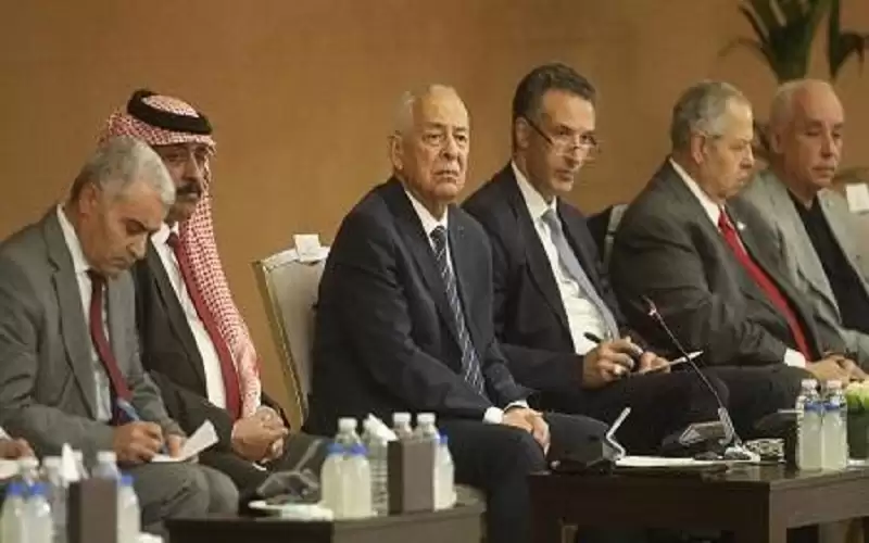 العيسوي: الملك يؤكد دوما أهمية التخفيف