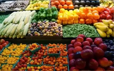 الحكومة: انخفاض حجم الصادرات الزراعية طبيعي