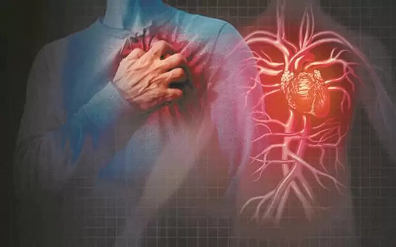 دراسة تحذر: الأزمات القلبية تزداد فى