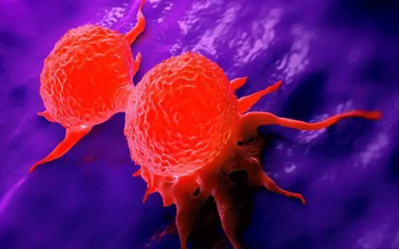 مهنة تسبق كل المهن في تعريض