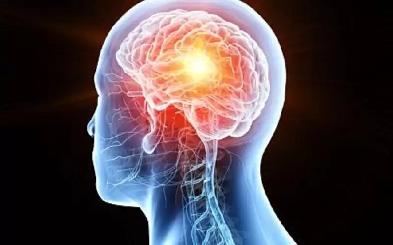 طرق فعالة لتنشيط الدماغ غذائيا