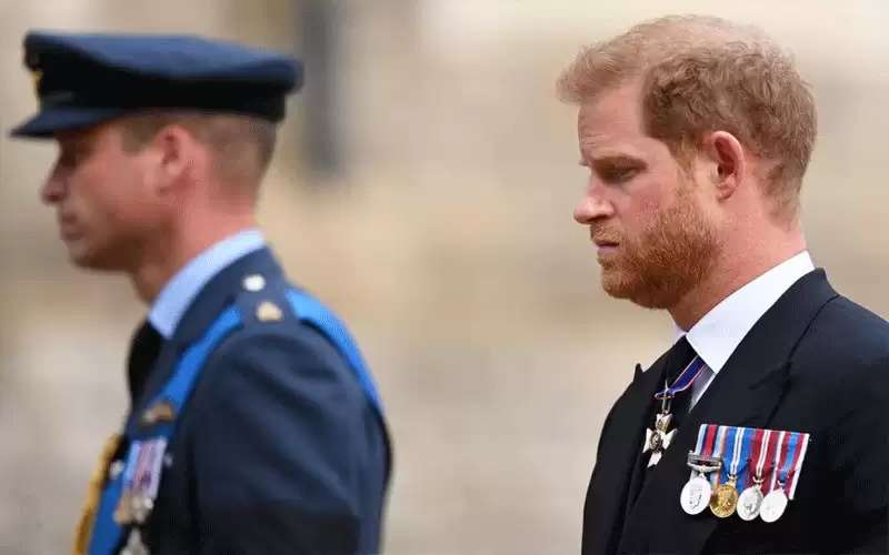 هل تجاوزت مذكرات الأمير هاري الحدود؟