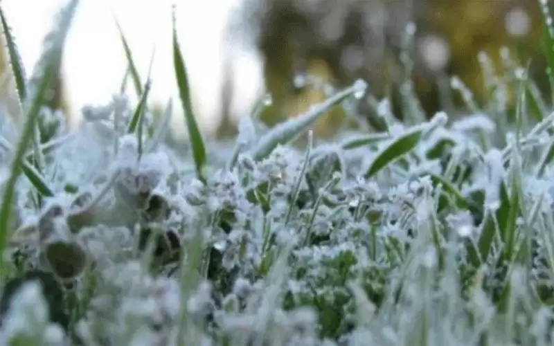 أجواء باردة وتحذير من تشكل الصقيع