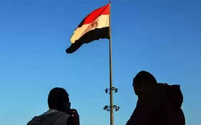 50 كتكوت لكل مواطن في مصر..