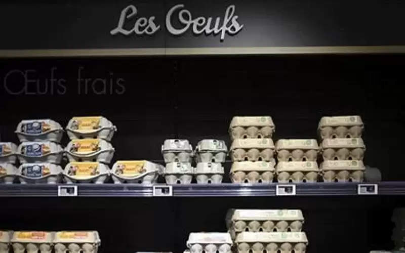 اميركا.. البيض أصبح من السلع الفاخرة