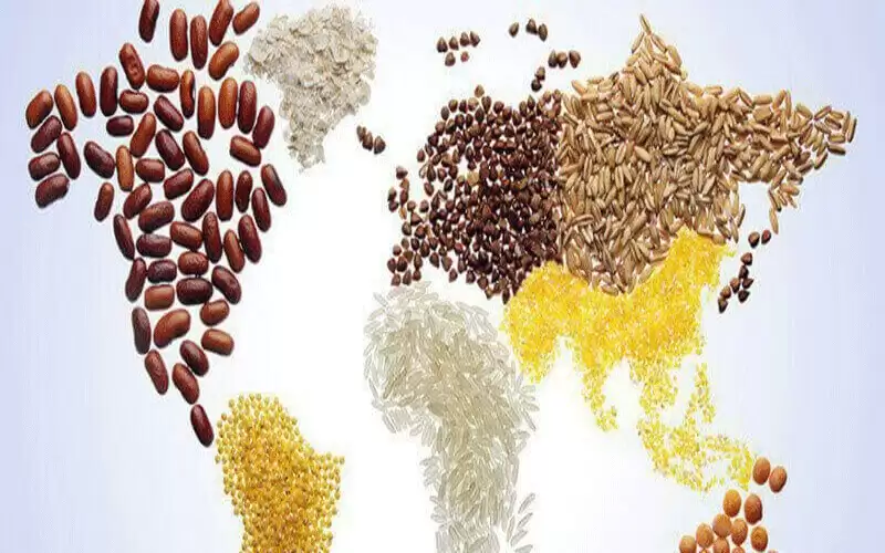 فاو: الأردن من أفضل دول المنطقة