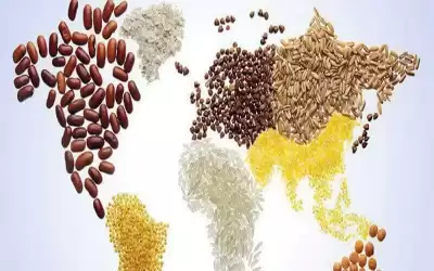فاو: الأردن من أفضل دول المنطقة