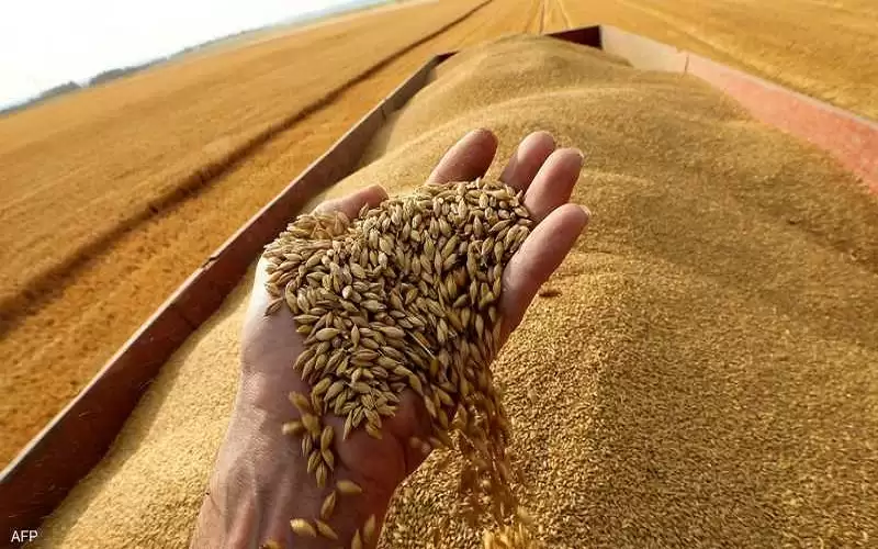 مسؤول دولي: الأردن من أفضل دول