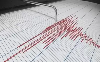 مرصد الزلازل: لم يشعر أي شخص
