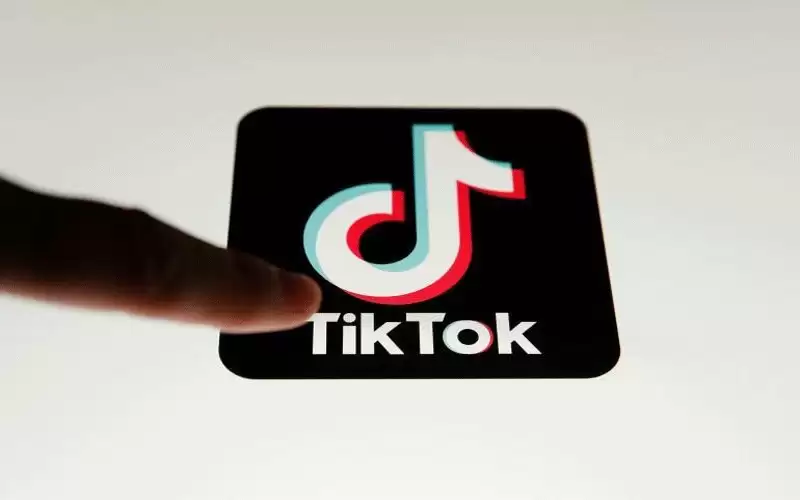 تيك توك: إزالة أكثر من 310