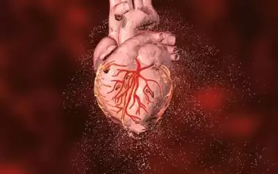 اختبار سريع يكشف العمر الفعلي للقلب