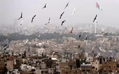 الحرارة أعلى من معدلاتها بنحو 4
