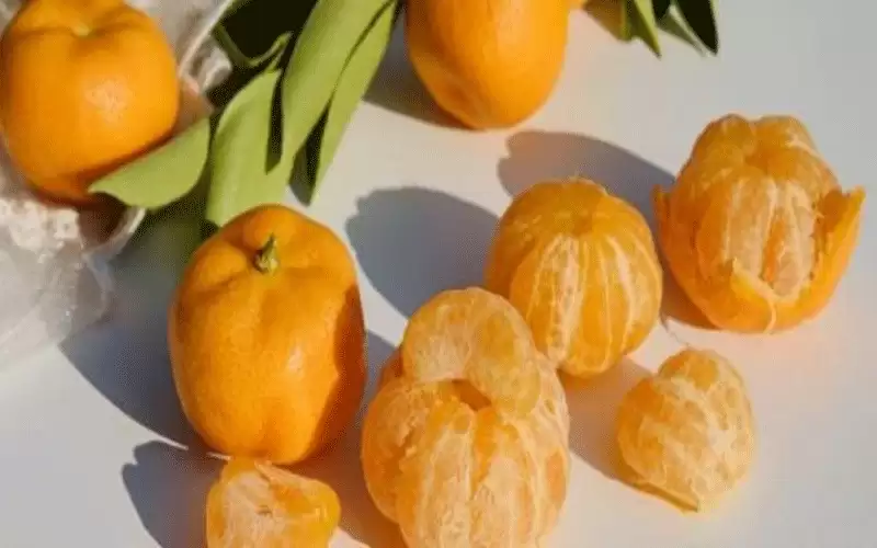 فوائد اليوسف أفندي