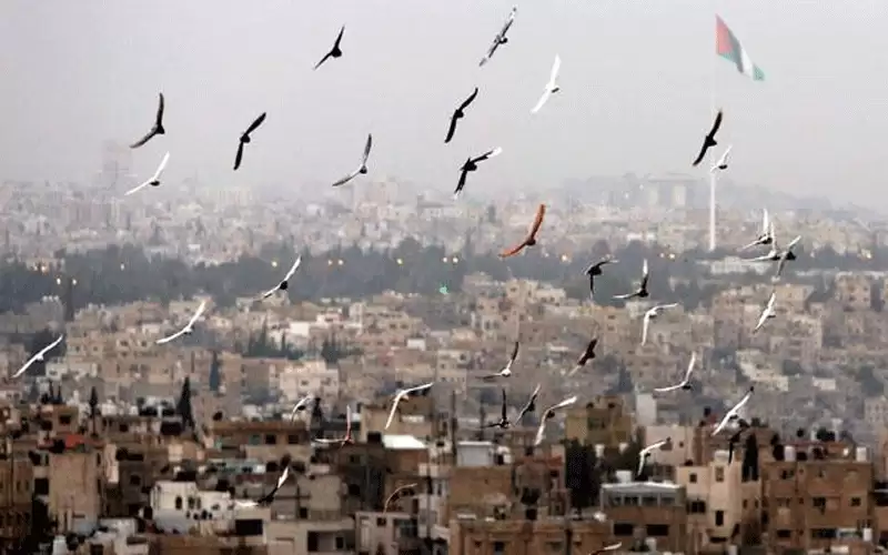 الأردن.. درجات الحرارة أعلى من معدلاتها