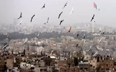 الاثنين .. الحرارة أعلى من معدلاتها