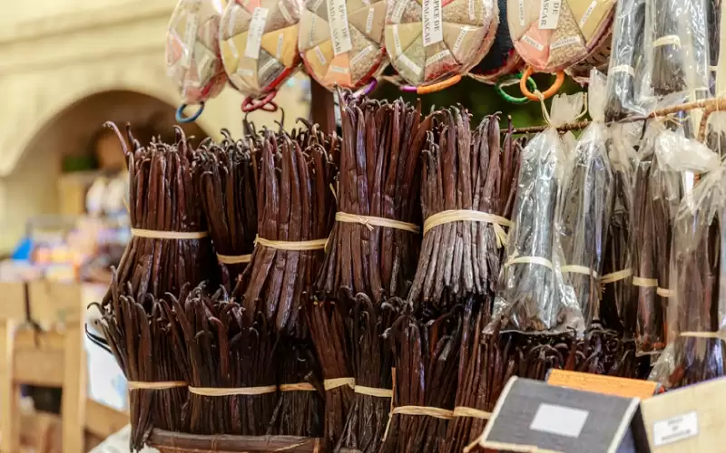 في مدغشقر.. . “حرب الفانيليا” جعلت