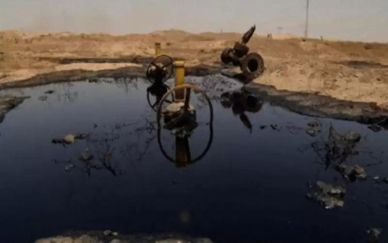 عقل: لا يوجد أي كميات تجارية