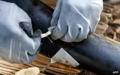 أول مرض في العالم يتم القضاء