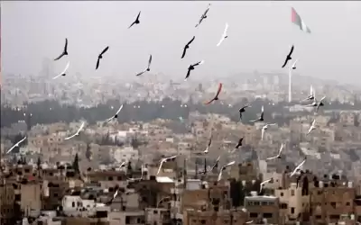 الأردن.. أجواء دافئة نسبيا في بعض