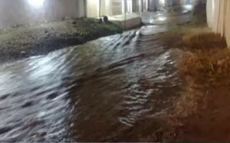 انقاذ أشخاص حاصرتهم الأمطار داخل مركباتهم