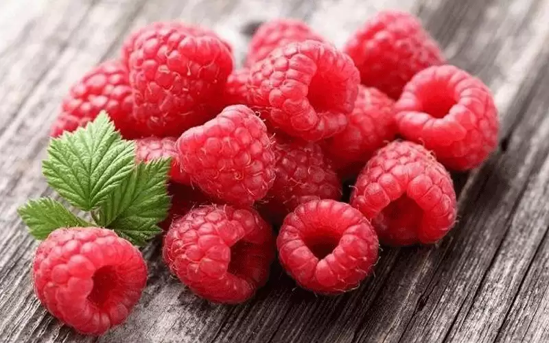 تعرفي على فوائد التوت الأحمر للرجيم