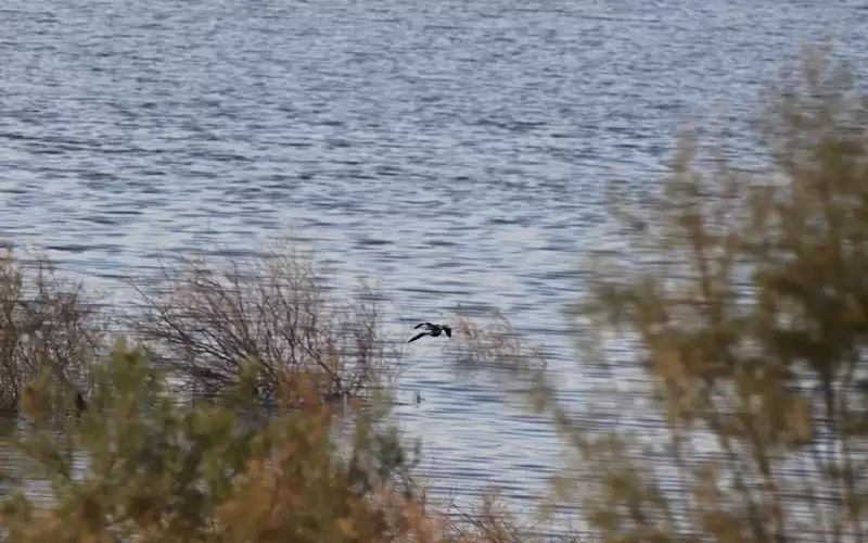 امتلاء سد وادي شعيب ومطالبة بالابتعاد