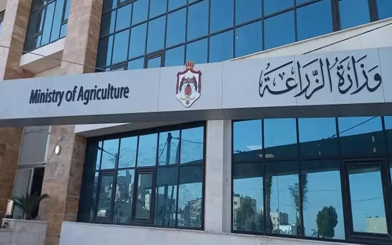 الزراعة: 70 بقرة نفقت بسبب الحمى