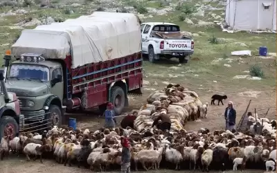 تحذيرات للمزارعين ومربي الماشية والنحالين بالأردن