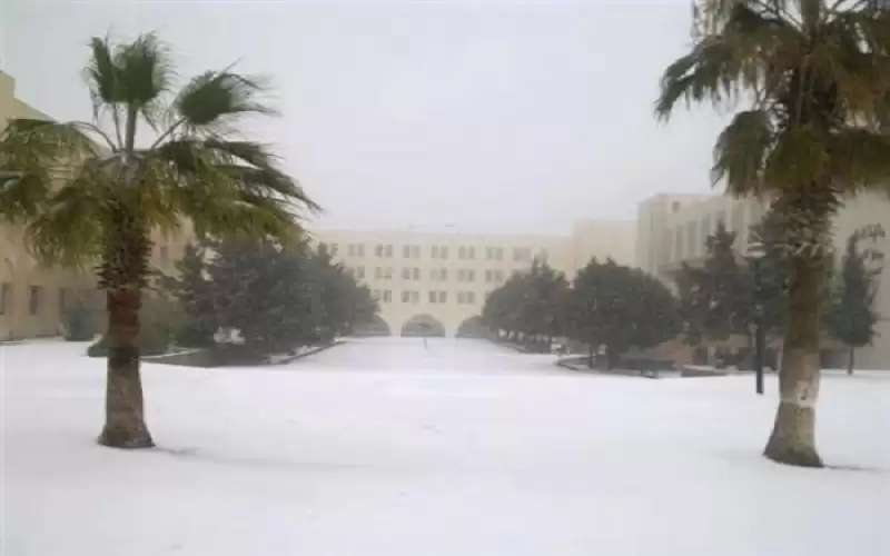 جامعات تعلق دوامها الأربعاء (أسماء)