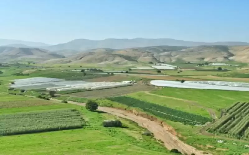 غرفة طوارئ في زراعة الأغوار الشمالية