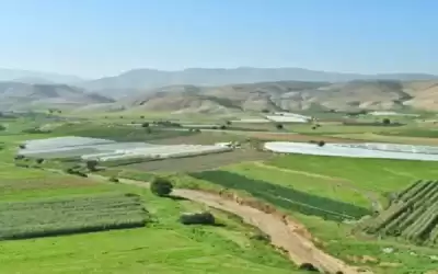 غرفة طوارئ في زراعة الأغوار الشمالية