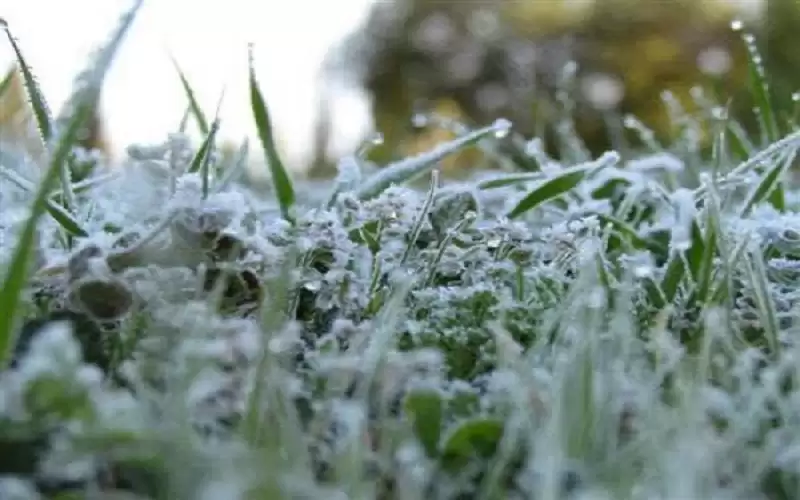 طقس العرب: أجواء قارصة البرودة والحرارة